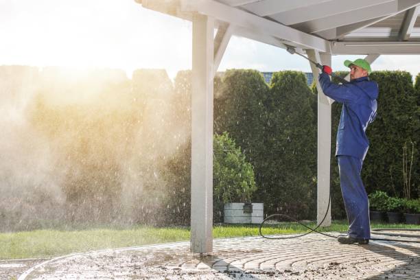 Best Pre-Holiday Cleaning  in Anderson, IN